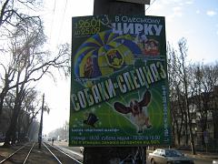 IMG_2457--